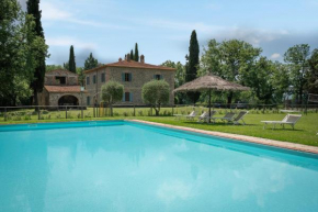 Belvedere Ambra